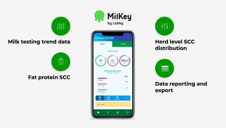 MilkKey-768x436.webp