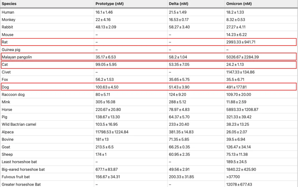 上表為不同動物對德爾塔毒株和奧密克戎毒株的親和力對比，其中可以看出小鼠的親和力發生巨大的變化，同時狗的親和力也出現上升，這給傢養狗、倉鼠等寵物的讀者們提一個醒，你們之間可能會存在交叉傳播（圖源：Cell Discovery）
