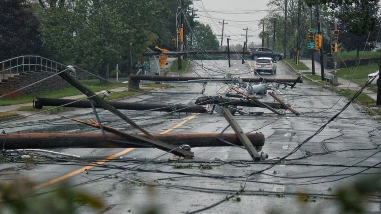 △新斯科舍省道路上倒下的電線桿