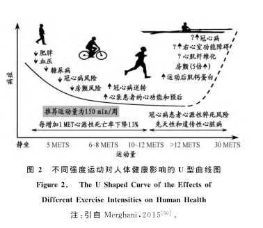 圖片來自《體育科學》