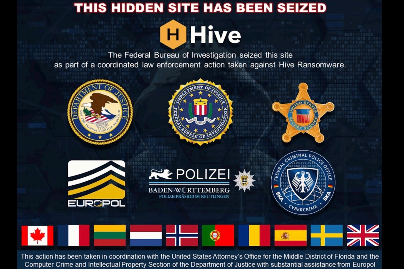 hive-ransomware-seized.webp