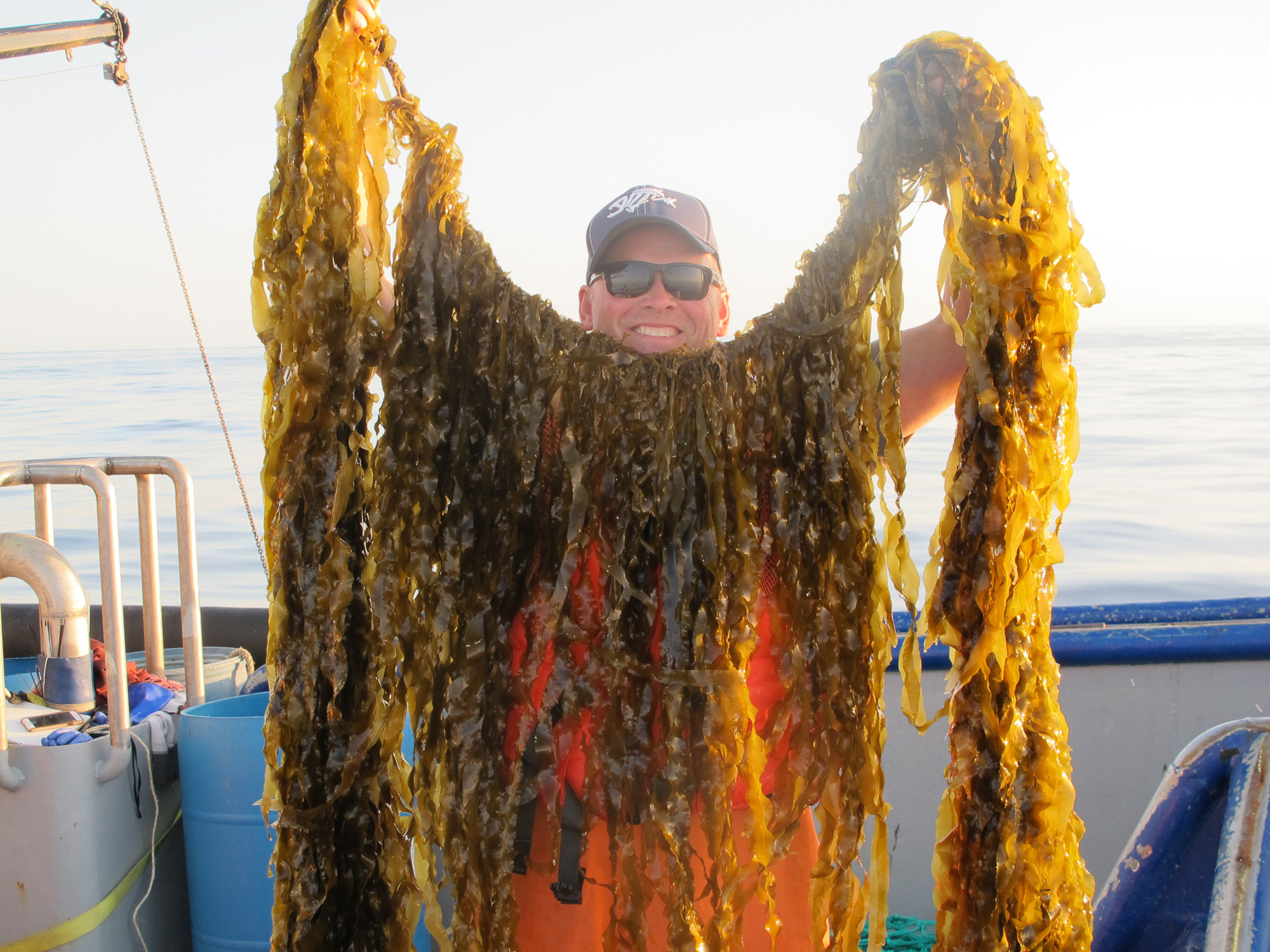 Running-Tide-Kelp-Harvest_web.jpg