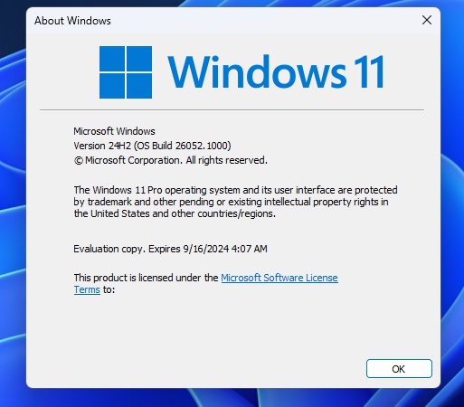 Windows-11-winver.jpg