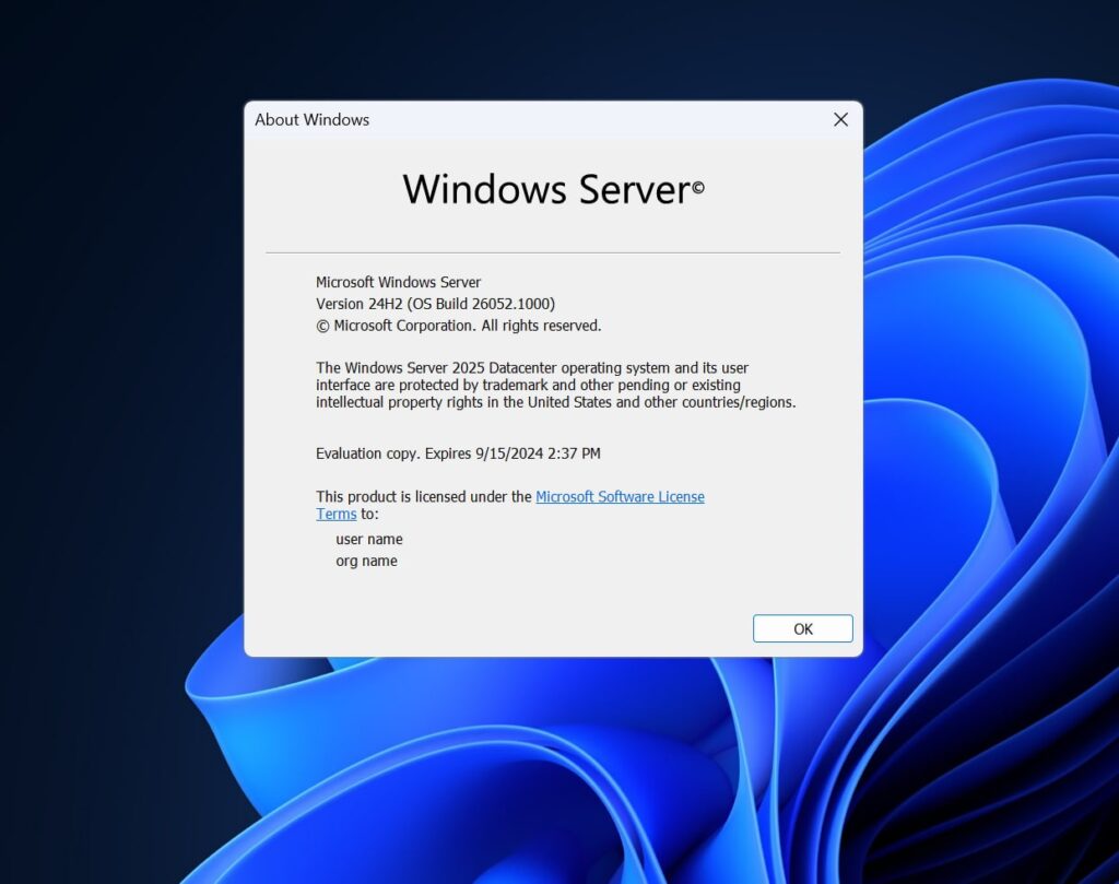 Windows-Server-2025-preview-build-1024x809.jpg