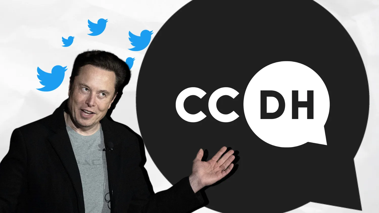 Musk-vs-CCDH-OG-3.webp