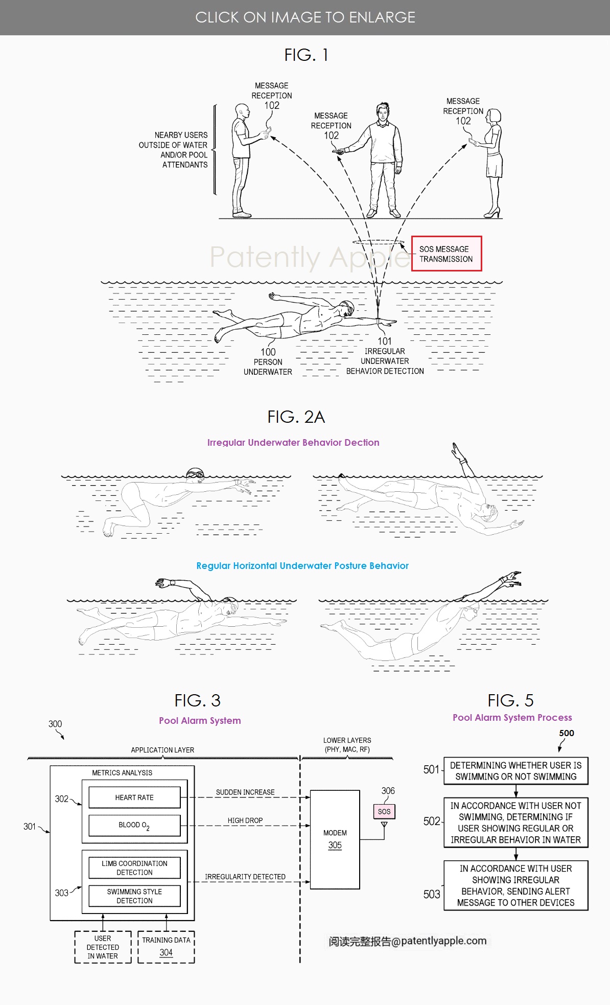 Apple-Watch-your-digital-pool-assistant.jpg